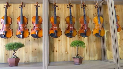 国际音乐盛宴连续四年花落泰兴 乐器配件产业的力量与魅力