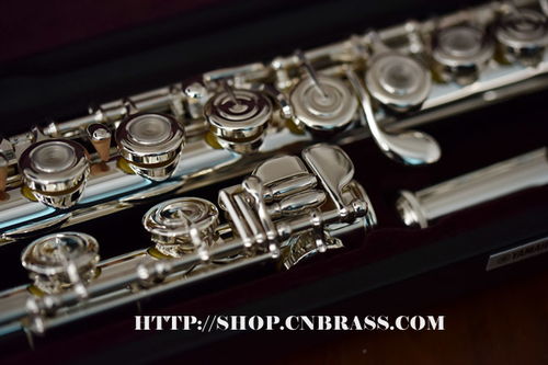 雅马哈长笛YFL-472H 卓越乐器的完美配件指南