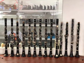 嘉善2家企业首登省级榜单 实现乐器配件领域零突破